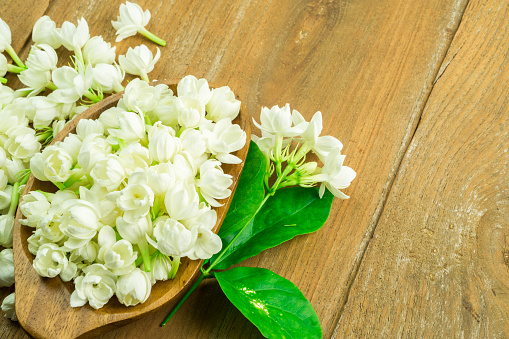 jasmine on wood table background with good smell