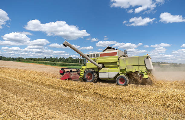 istock Combine harvester during harvest 587808750