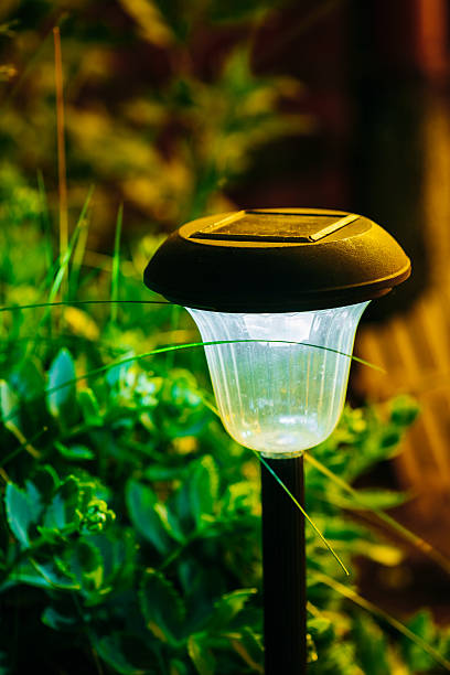 istock Small Solar Garden Light, Lantern In Flower Bed. Garden Design. 587811098