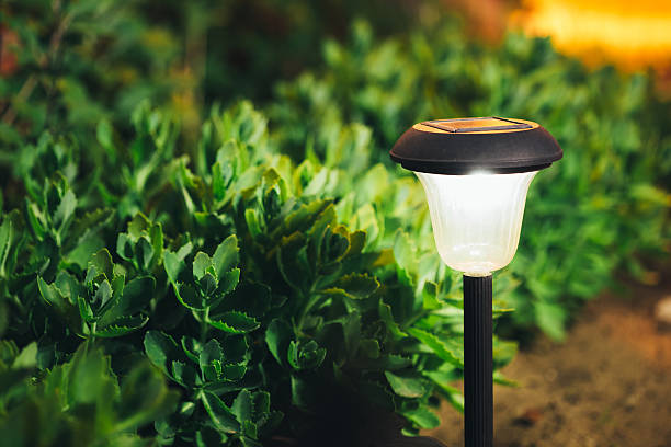 istock Small Solar Garden Light, Lantern In Flower Bed. Garden Design. 587811252