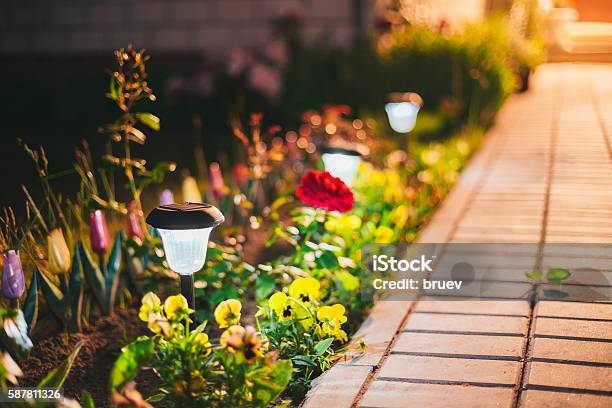Small Solar Garden Light Lantern In Flower Bed Garden Design Stock Photo - Download Image Now