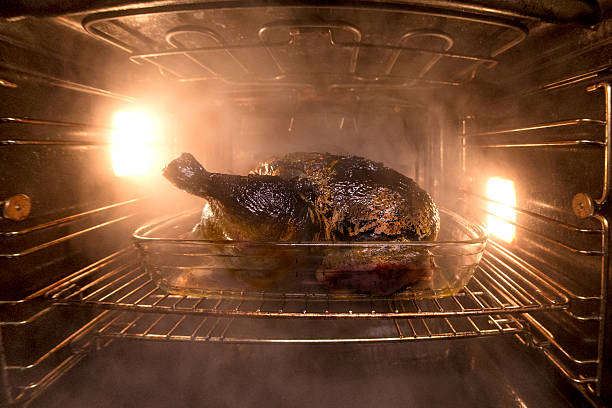 istock Burnt Chicken in the oven 587812674