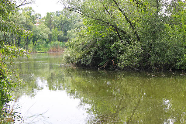 istock Beautiful lake on summer 587814590