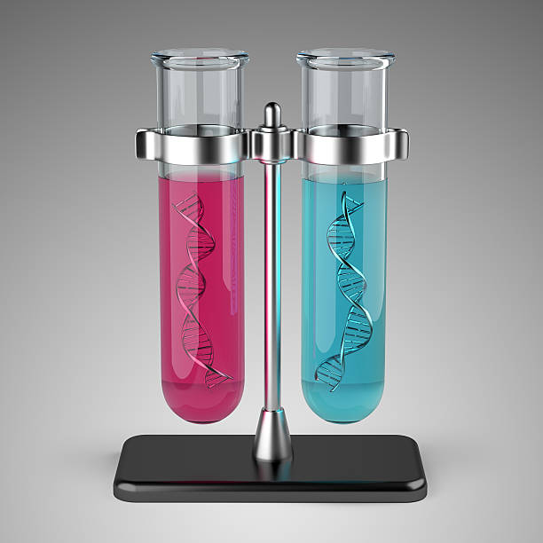 DNA strand in test tube on a stand. 3d illustration on a grey background - high resolution image.
