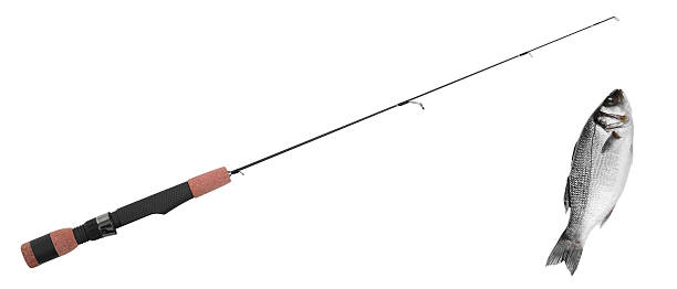 istock fish on fishing-rod 587814902