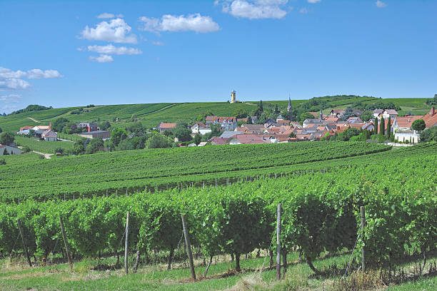 istock Vendersheim,Rhinehessen,Germany 587815702