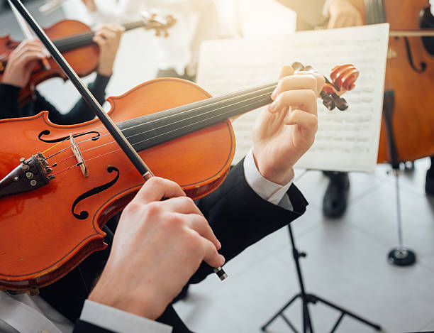 istock Violinist performing with music sheet 587816740