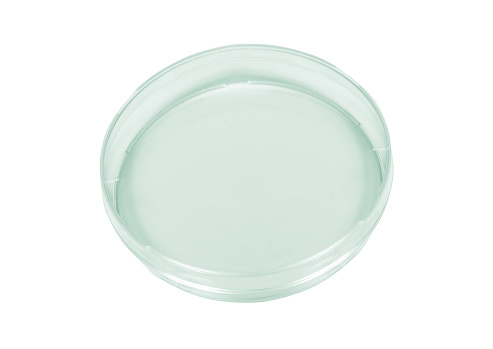 Petri dish isolated on white