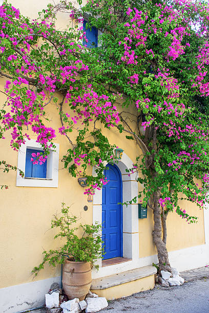 istock House full of flower 587817190