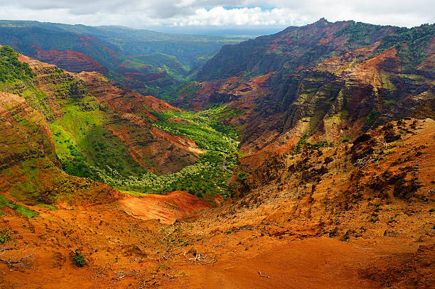 istock Stunning view into Waimea Canyon 587819306
