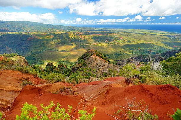 istock Stunning view into Waimea Canyon, Kauai 587819438