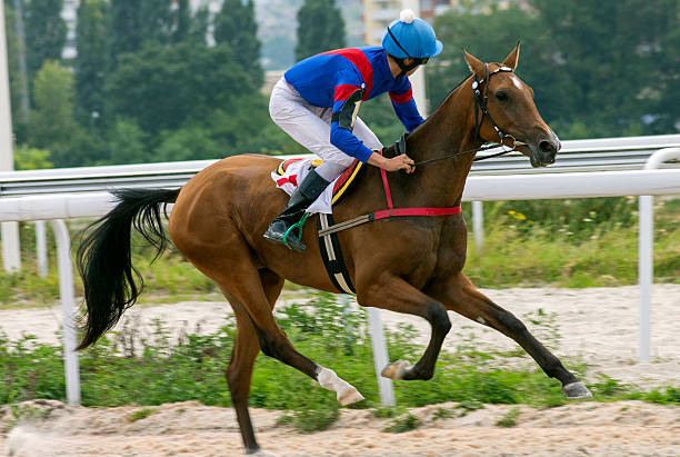 istock Jockey on horse 587819908