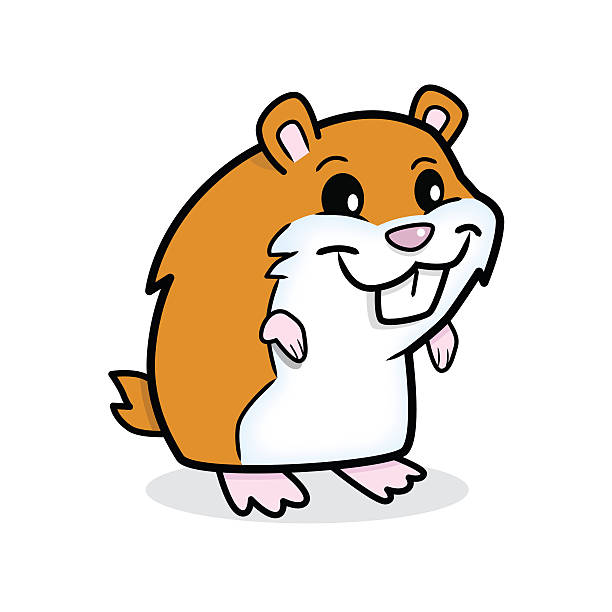 Cute Hamster Vector Illustration gerbil stock illustrations