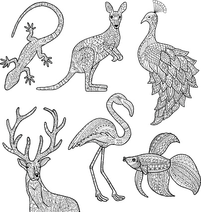 Vector hand drawn illustrations of animals. Lizard, kangaroo, peacock, deer, flamingo, betta fish. Adult coloring page.