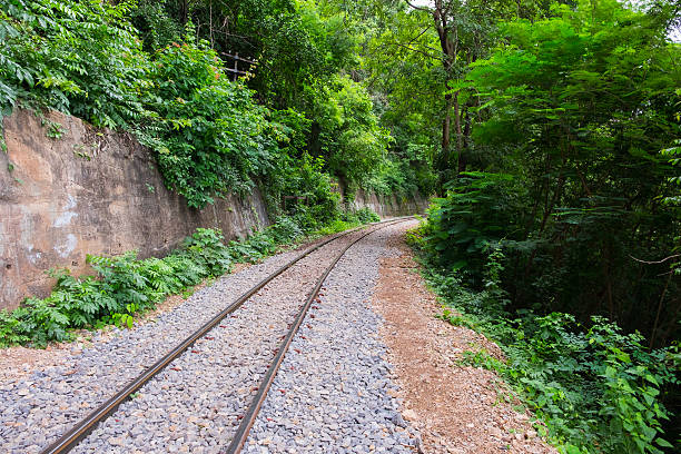 istock The old railroad along the cliff and tree 587881934