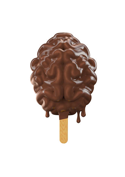 Chocolate popsicle brain 3D illustration of brain shaped chocolate ice cream popsicle melting brain stock pictures, royalty-free photos & images