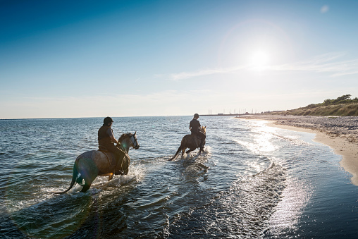 Side view wide shot of a woman horseback riding along the beach in the North East of England. The scene is tranquil and calm.  The horse is walking through the water.