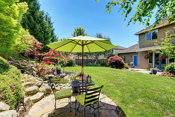 istock Backyard garden with beautiful landscape 587887766