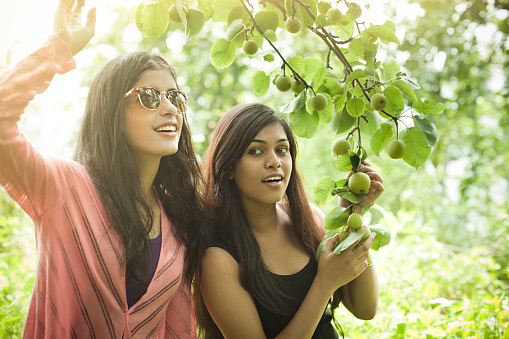 Outdoor image of beautiful, happy late teen two urban girls holding tree branch full of Asian pear in nature at day time in rural area. They are giving toothy smile one of the friend is wearing sunglasses. Two people, waist up, horizontal composition with selective focus and copy space.