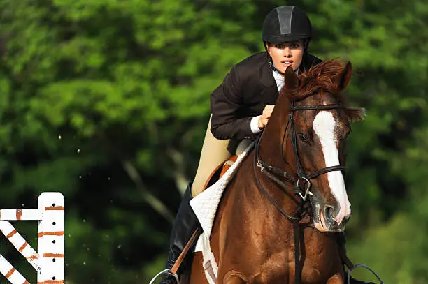 Woman Equestrian Riding Jumping on Show Horse