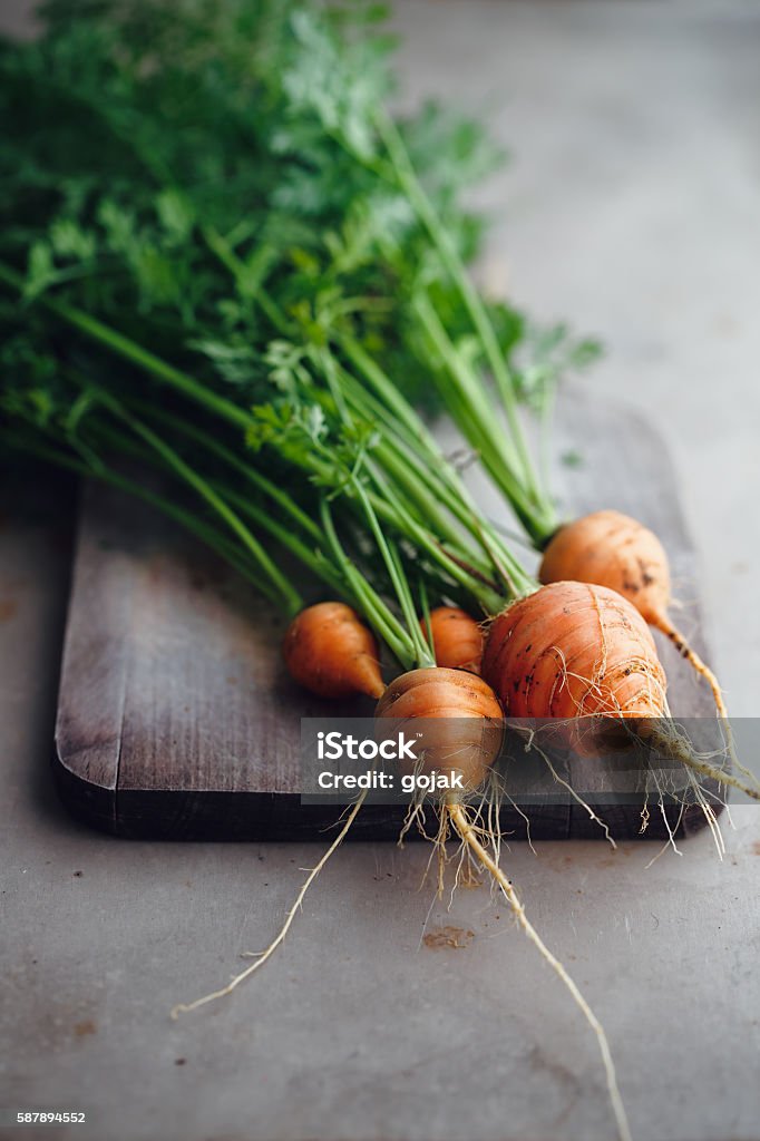 Bunch of small, round carrots Bunch of small, round carrots (Parisian Heirloom Carrots) Bunch Stock Photo