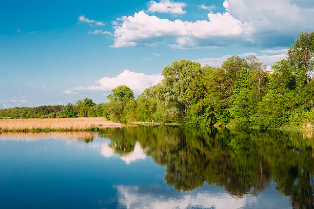 istock River Landscape With Reflections Of Clouds And Woods In Water. 587896718