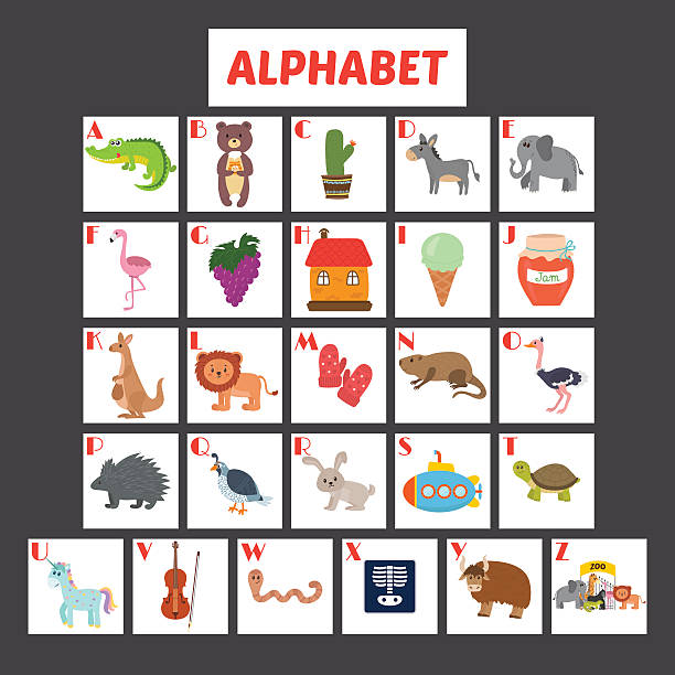 ilustrações, clipart, desenhos animados e ícones de alfabeto infantil com animais de desenho animado fofos - kangaroo animal humor fun