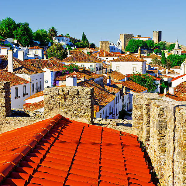 Obidos in Portugal View to Historic Center City of Obidos in Portugal obidos photos stock pictures, royalty-free photos & images