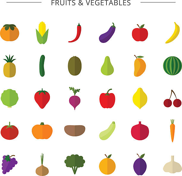 illustrations, cliparts, dessins animés et icônes de fruits, légumes. - raw potato isolated vegetable white background