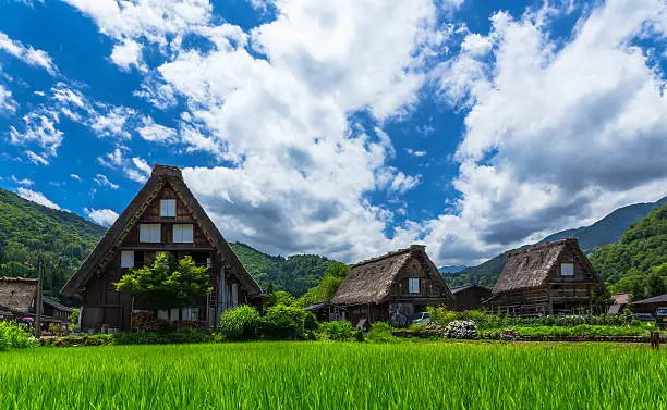 Traditional and Historical Japanese village Shirakawago in spring