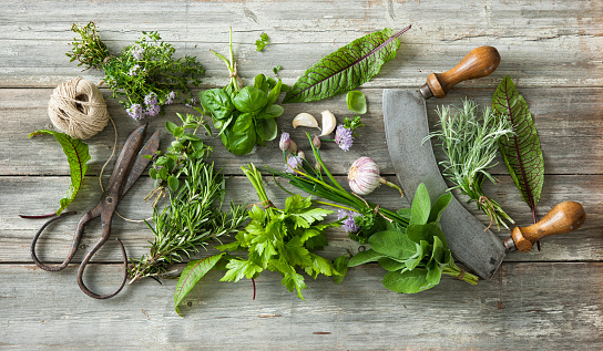fresh kitchen herbs and spices on wooden table. Top view