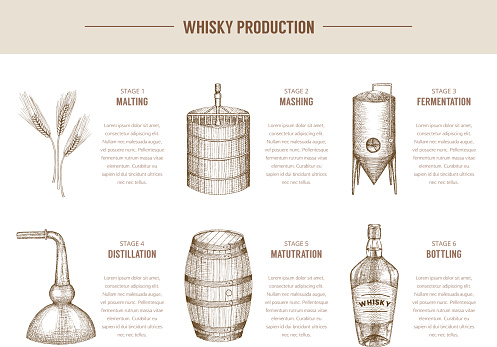 Vector hand drawn whisky production elements.
