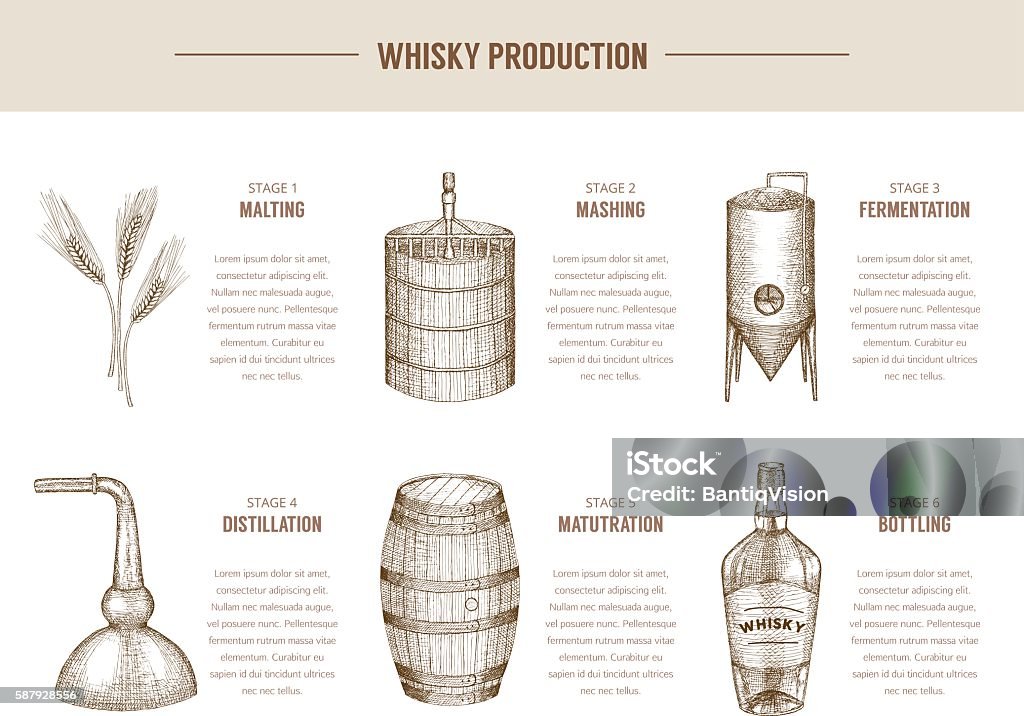 Whisky production. Vector hand drawn whisky production elements. Whiskey stock vector