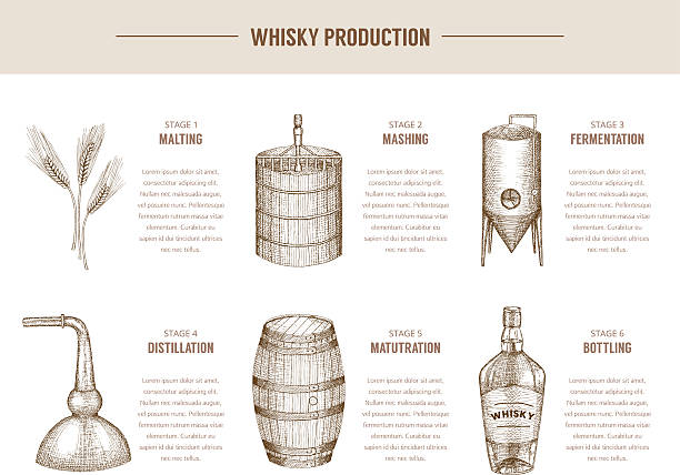 Whisky production. Vector hand drawn whisky production elements. scotch whiskey illustrations stock illustrations