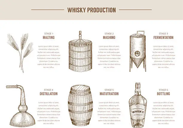 Vector illustration of Whisky production.