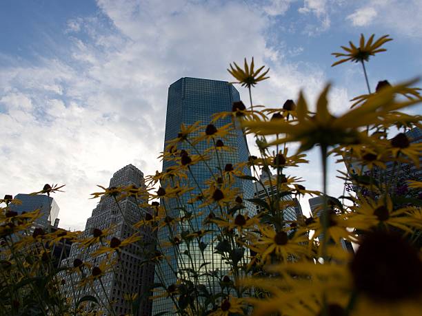 istock Flowers and Finance 587929224