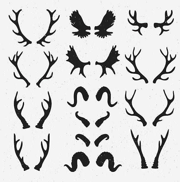 vector horns set silhouette on the grunge hipster background. - boynuzlu illüstrasyonlar stock illustrations