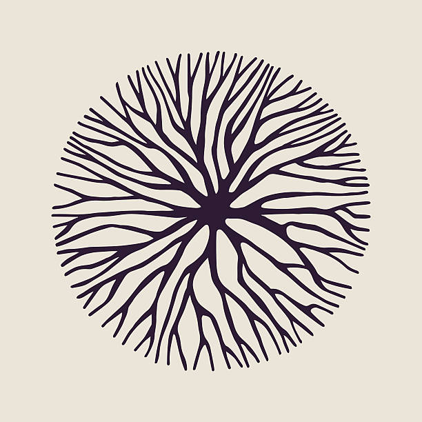 Concept tree branch circle shape illustration Abstract circle shape illustration of tree branches or roots for concept design, creative nature art. EPS10 vector. branch stock illustrations