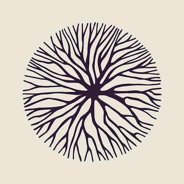 Vector illustration of Concept tree branch circle shape illustration