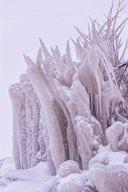 istock Cold winter day with many icicle on the bush 587932526