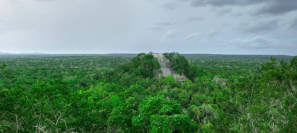 istock Panoramic Maya Temple 1 in Calakmul, Campeche 587933156