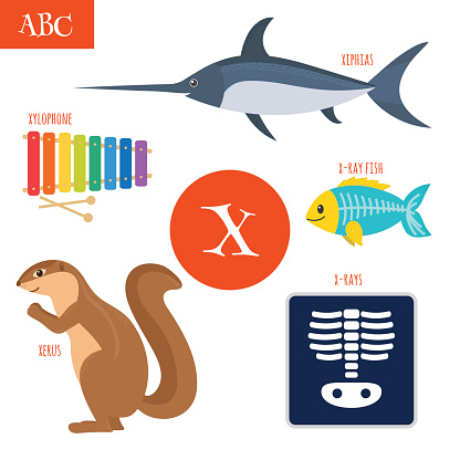Letter X Cartoon Alphabet For Children Stock Illustration - Download Image Now - Cartoon, Activity, African Ground Squirrel - iStock Letter X Cartoon Alphabet For Children Stock Illustration - Download Image Now - Cartoon, Activity, African Ground Squirrel - iStock
