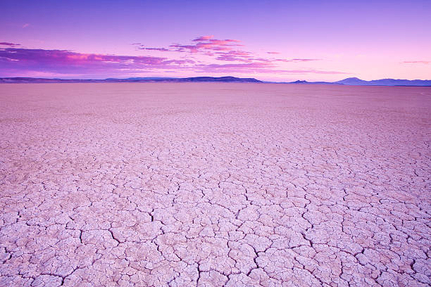 Alvord Desert, southeast Oregon, USA Purple glow at sunset on Alvord Desert dry lakebed in southeastern Oregon, USA lakebed stock pictures, royalty-free photos & images