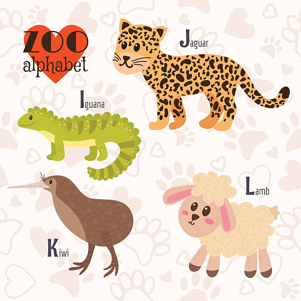 Zoo Alphabet With Funny Animals I J K L Letters Stock Illustration -  Download Image Now - iStock