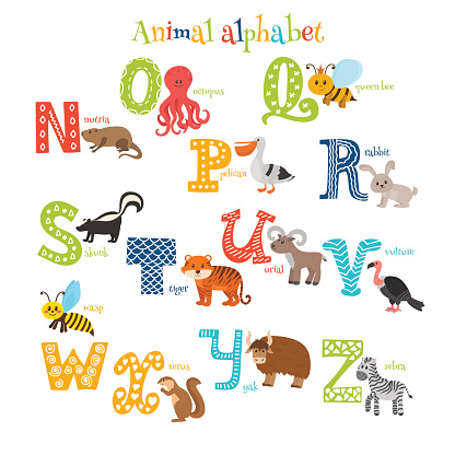 Zoo Cute Cartoon Animals Alphabet From N To Z Stock Illustration - Download  Image Now - Alphabet, Alphabetical Order, African Ground Squirrel - iStock