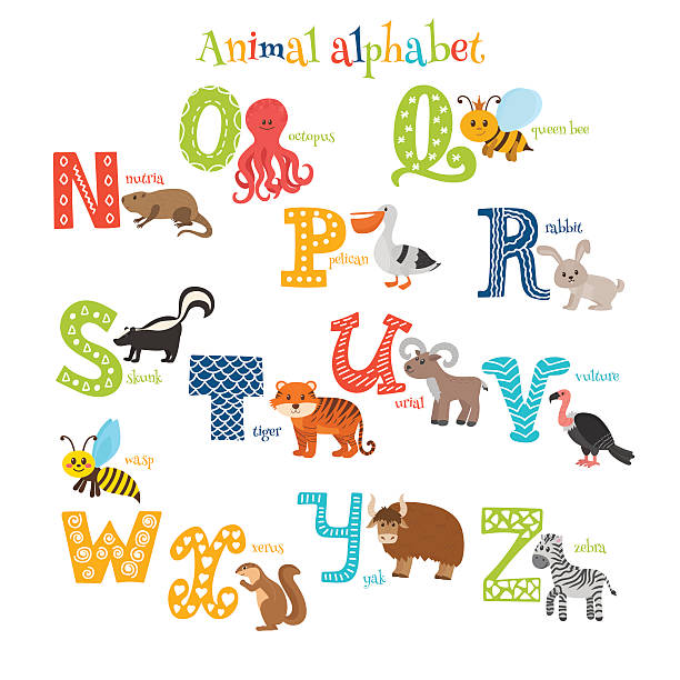 Zoo. Cute cartoon animals alphabet from N to Z Zoo. Cute cartoon animals alphabet from N to Z in cartoon style. Vector illustration nutria rodent animal alphabet stock illustrations