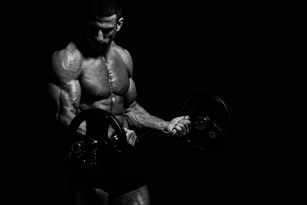 bodybuilding-training  - abdominal muscle muscular build barbell bicep stock-fotos und bilder