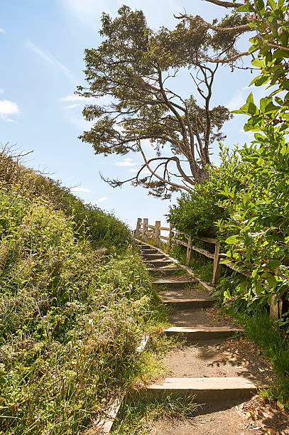 istock Outdoor footpath from the beach with stairs 587949798