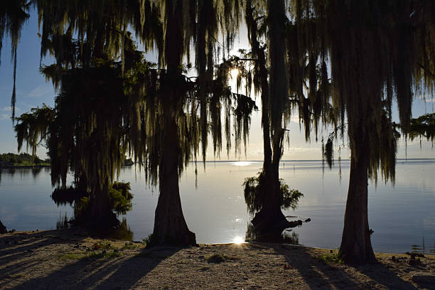 istock Sunrise on the Lake 587950876