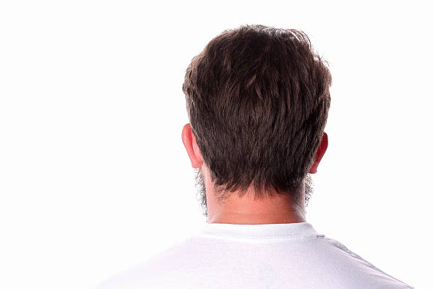 10,879 Mens Hairstyles Back View Stock Photos, Pictures & Royalty-Free  Images - iStock